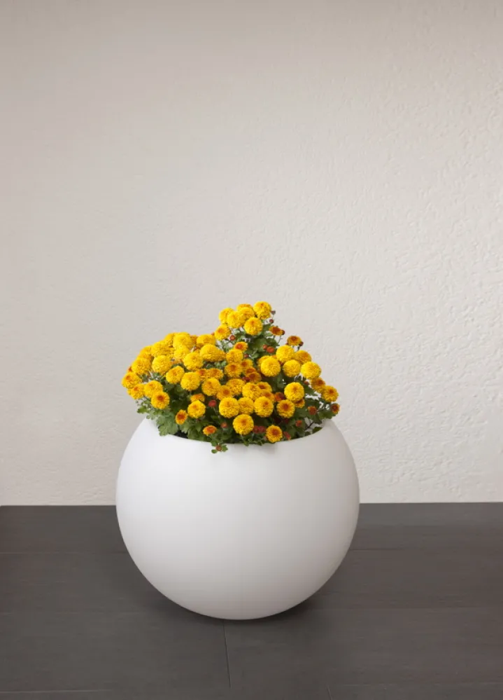 sandy|gartenlampe-aussenleuchte-blumentopf-epstein-design-Flora50-20015-unbeleuchtet-bepflanzt.jpg